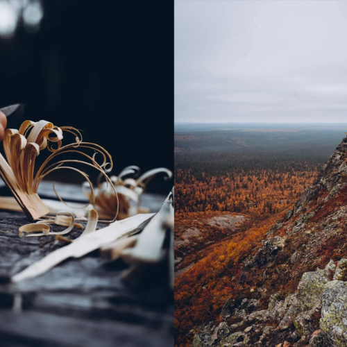 livre food in the wood
