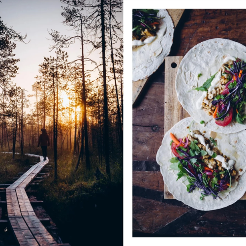 livre food in the wood