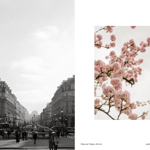 livre paris